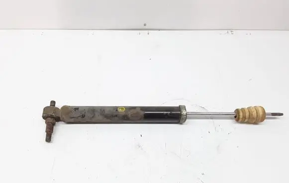 Hyundai Santa Fe Rear shock absorber/damper