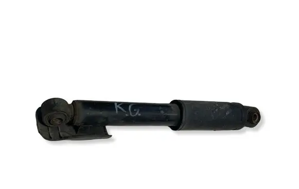 Hyundai Santa Fe Rear shock absorber/damper 553102B510