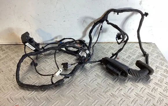 BMW 6 F06 Gran coupe Front door wiring loom 9355615