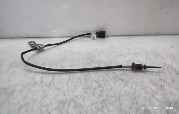 Exhaust gas temperature sensor