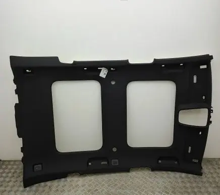 Audi RS6 C8 Headlining 4K9867505F