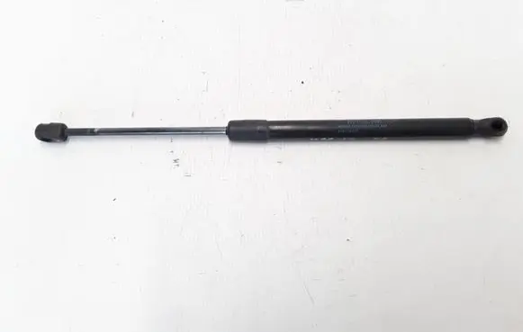 Renault Megane III Tailgate strut 904510001R