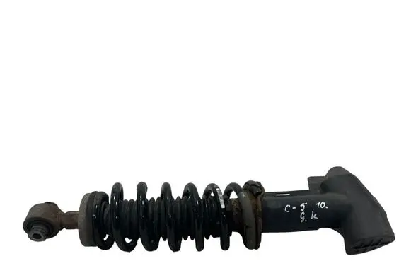 Citroen C5 Rear shock absorber with coil spring 9686629480