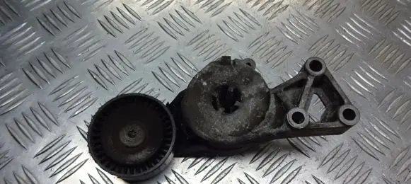 Skoda Octavia Mk1 (1U) Alternator belt tensioner pulley ZAMIENNIK