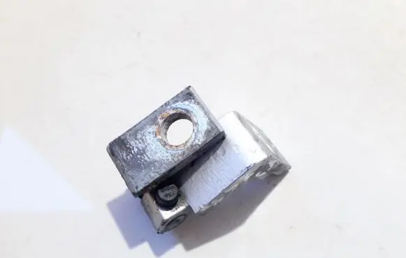 Rear door lower hinge