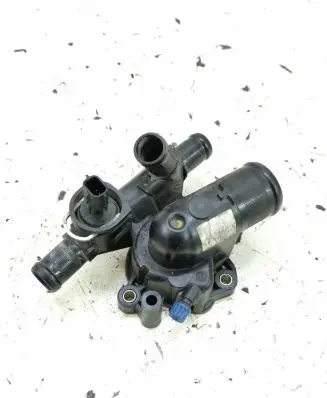 Thermostat/thermostat housing