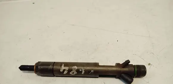 Ford Focus Fuel injector