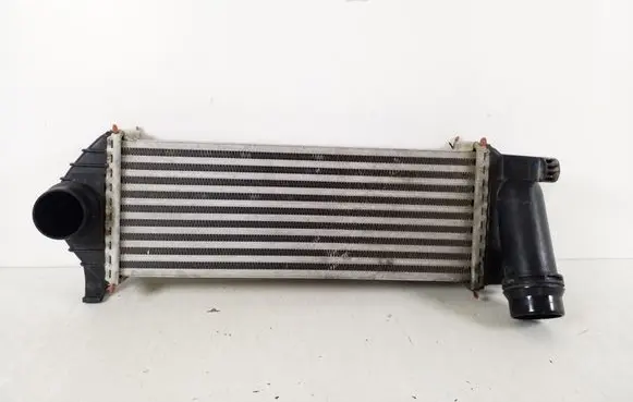 Renault Kangoo II Intercooler radiator 144963234R