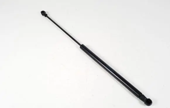 Tailgate strut