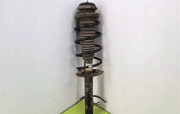 Peugeot 1007 Front shock absorber with coil spring