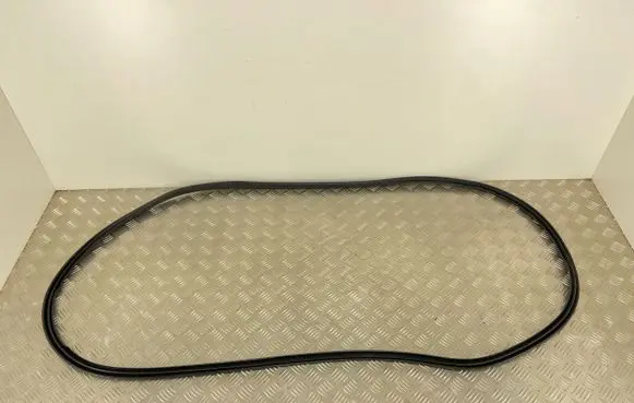 Nissan Navara D23 Front door rubber seal 