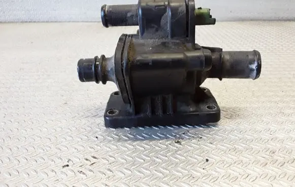 Thermostat/thermostat housing