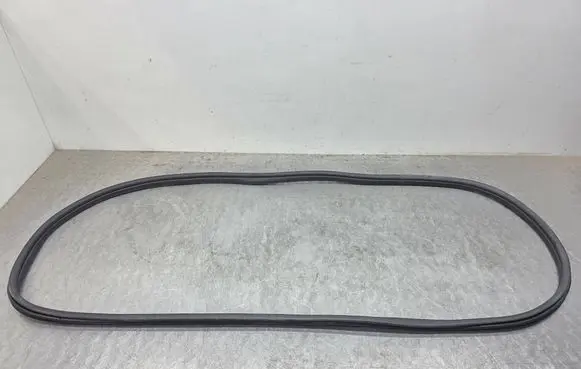 BMW X4 G02 Front door rubber seal 7416498