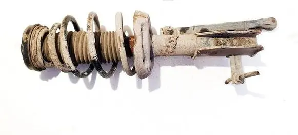 Opel Insignia A Front shock absorber/damper 