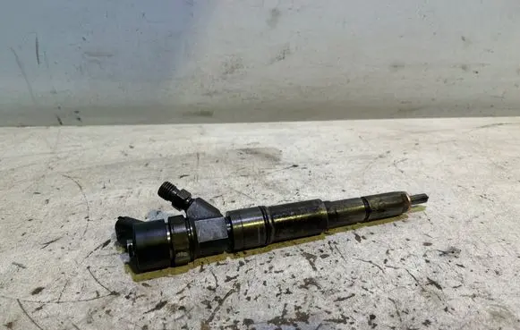 BMW 5 E39 Fuel injector 0445110041 785839