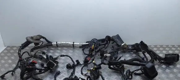 Ford Mondeo MK V Engine installation wiring loom HG9T12A581