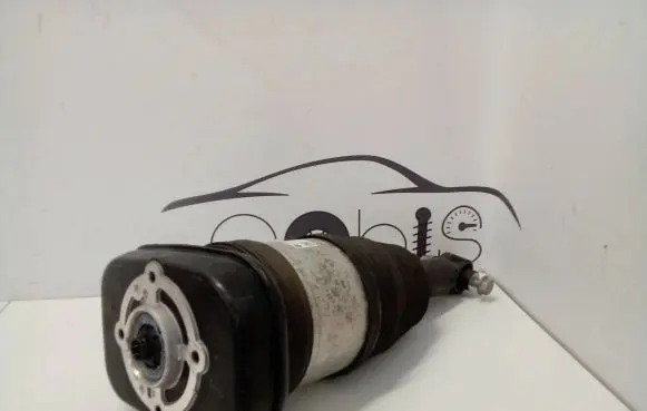 BMW i4 Shock absorber/damper/air suspension 13961113 755A5BE1503