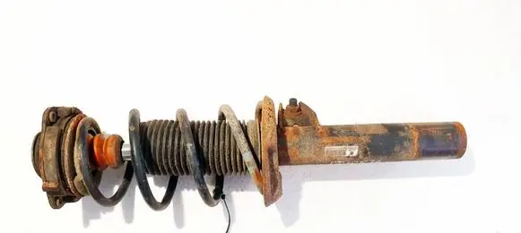 Volkswagen Golf Plus Front shock absorber/damper 1t0413031dn