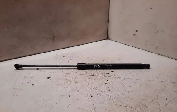 Tailgate/trunk strut/damper