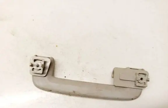 Ford Focus Rear interior roof grab handle 