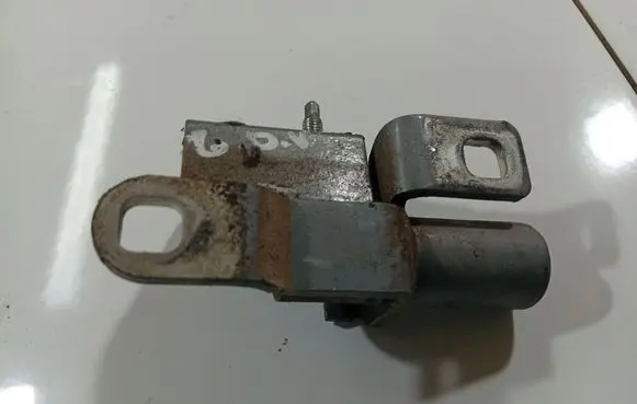 Rear door lower hinge