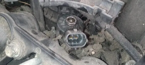 Land Rover Freelander Fuel injector 0445110048 7785985