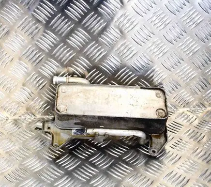 Audi Q7 4L Engine oil radiator 4M0317021G