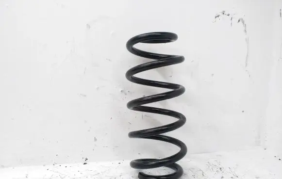 Toyota RAV 4 (XA30) Rear coil spring