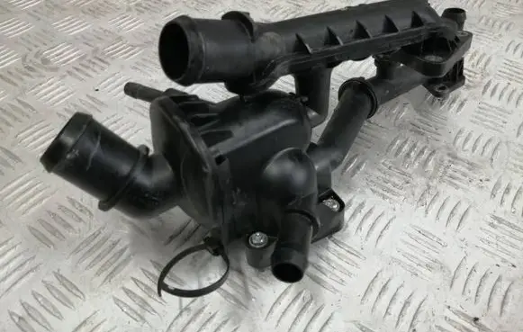 Thermostat/thermostat housing