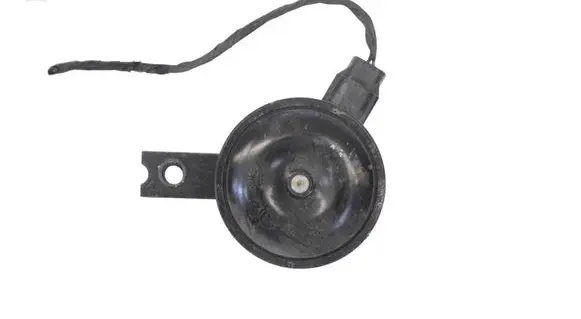 Horn signal