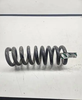Dodge Challenger Rear coil spring 05181369AF
