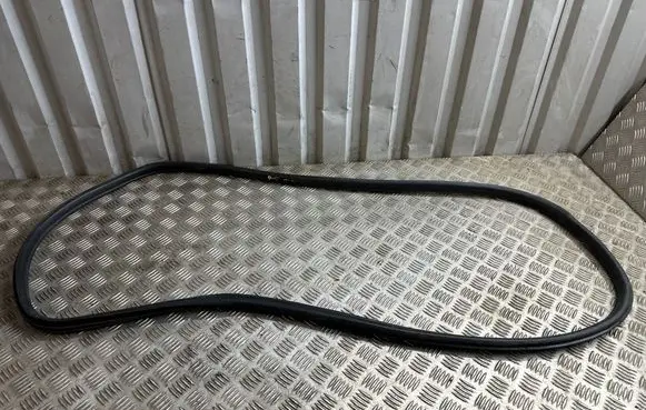 BMW X3 F25 Rubber seal rear door 7396556