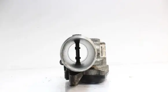 Throttle body valve
