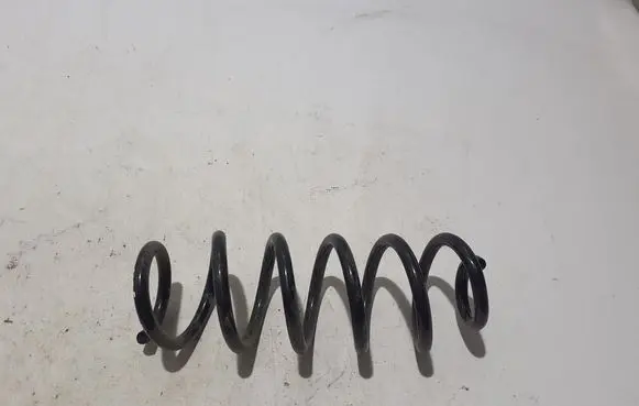 Dacia Duster Rear coil spring 550198870R