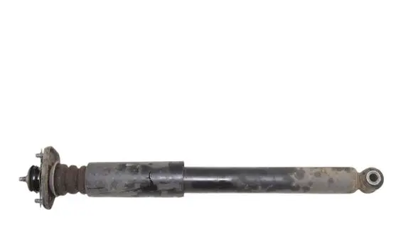 BMW Z4 E89 Rear shock absorber/damper 6796441
