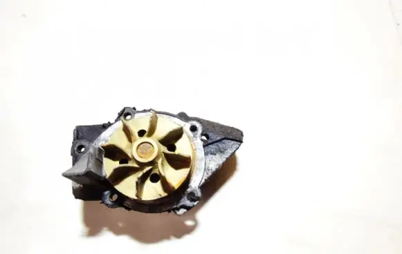 Renault Scenic I Water pump