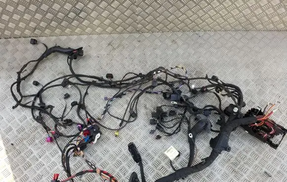 Other wiring loom