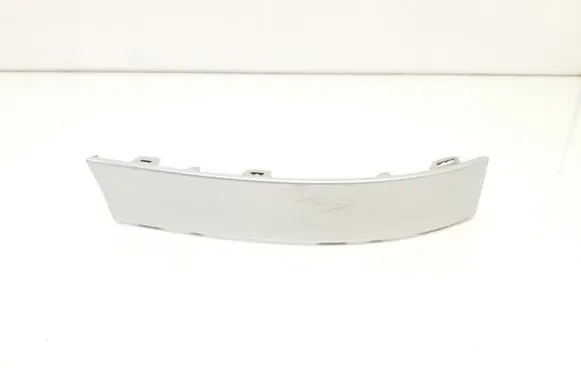 Rear/tail light trim molding
