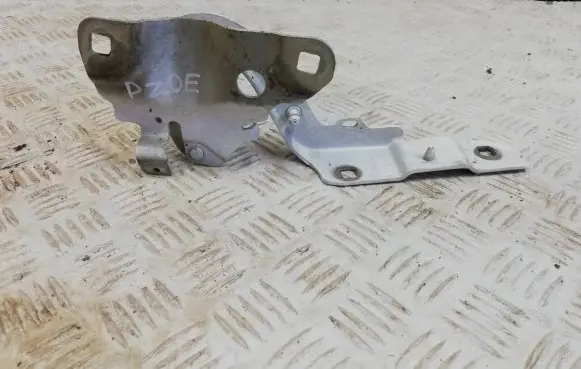 Renault Zoe Engine bonnet/hood hinges 654018609r ES71