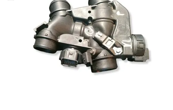 Peugeot Partner Throttle valve 9655971980 25360823