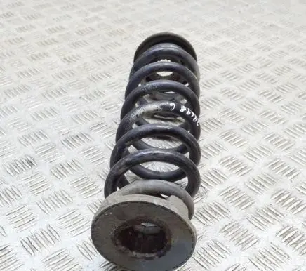 Opel Insignia B Rear coil spring 84198854