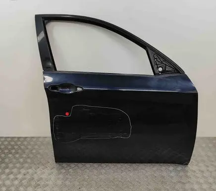 BMW X6 E71 Front door 7198160