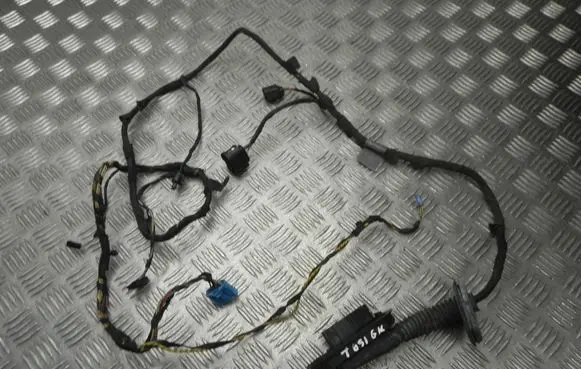 BMW 5 GT F07 Front door wiring loom 9210135