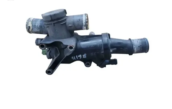 Thermostat/thermostat housing