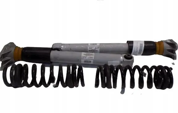 BMW M2 F87 Rear shock absorber with coil spring 2289537