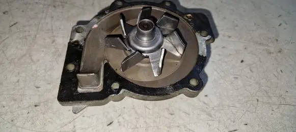 Nissan Qashqai Water pump 11824