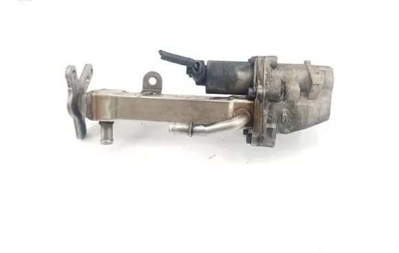 EGR valve