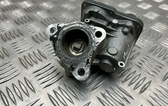 EGR valve