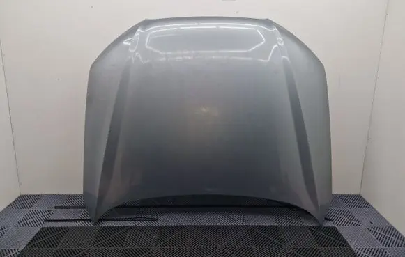 Engine bonnet/hood