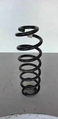 Rear coil spring